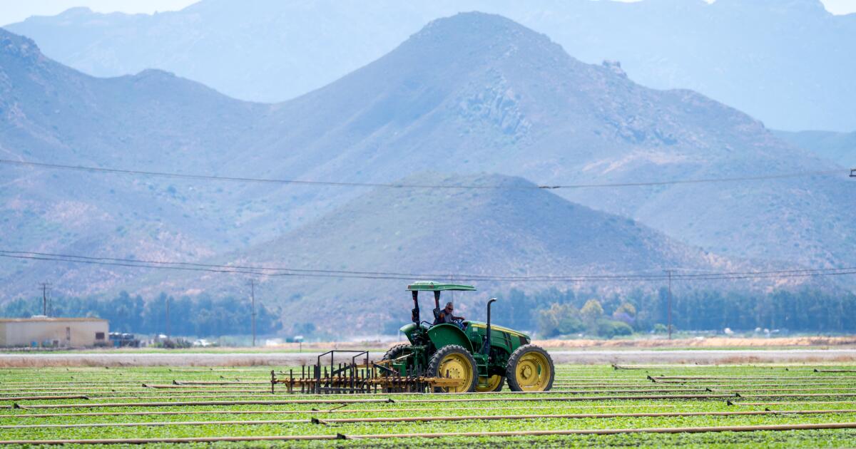 Eerie silence hangs over Central Coast farm fields in wake of ICE raids