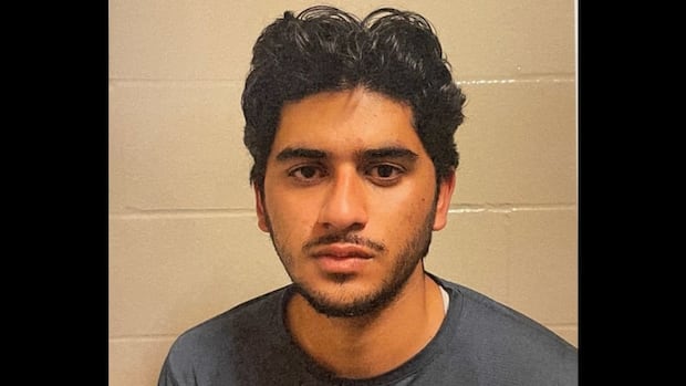Man accused of plotting NYC Jewish centre ‘slaughter’ while in Ontario pleads not guilty