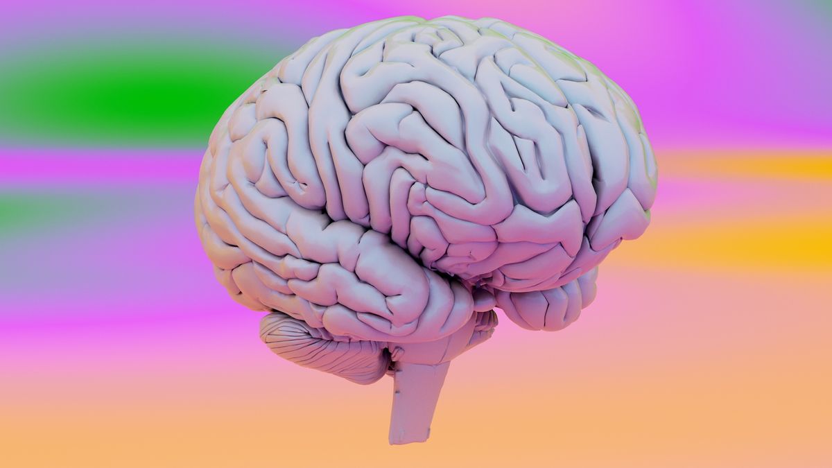 Strikingly simple ‘dial’ in the brain may help it distinguish imagination from reality
