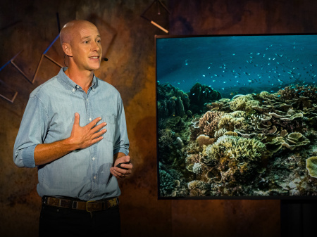 Alasdair Harris: How Can Coastal Conservation Save Marine Life And Fishing Practices?