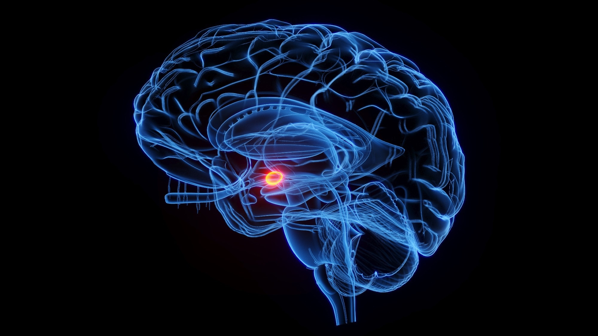 Unpredictable caregiving rewires the brain’s threat response