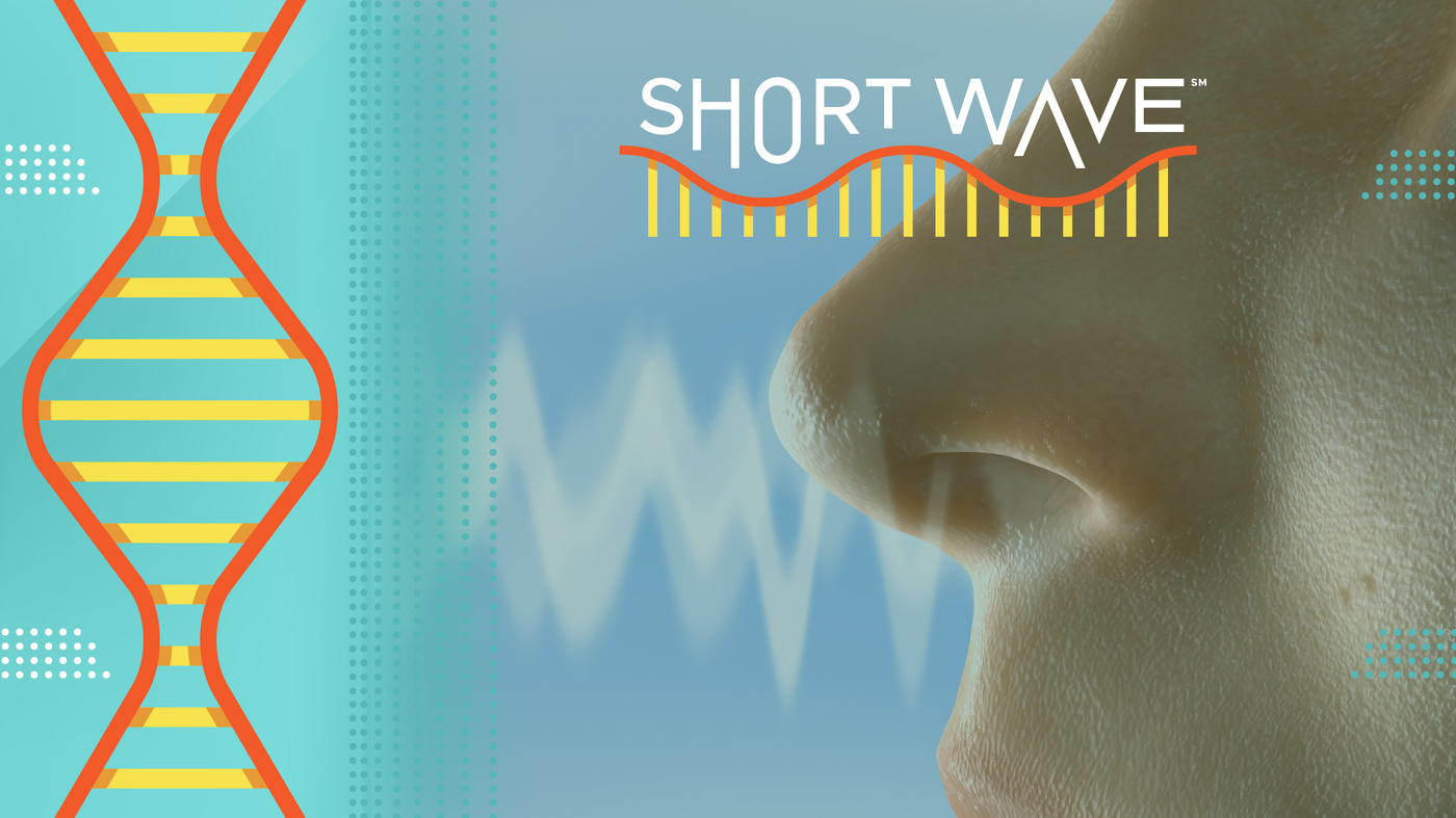 Could humans’ unique nasal ‘fingerprints’ give us information about our health?
