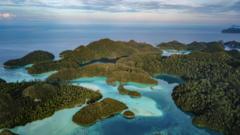 Race to mine metals for EV batteries threatens marine paradise