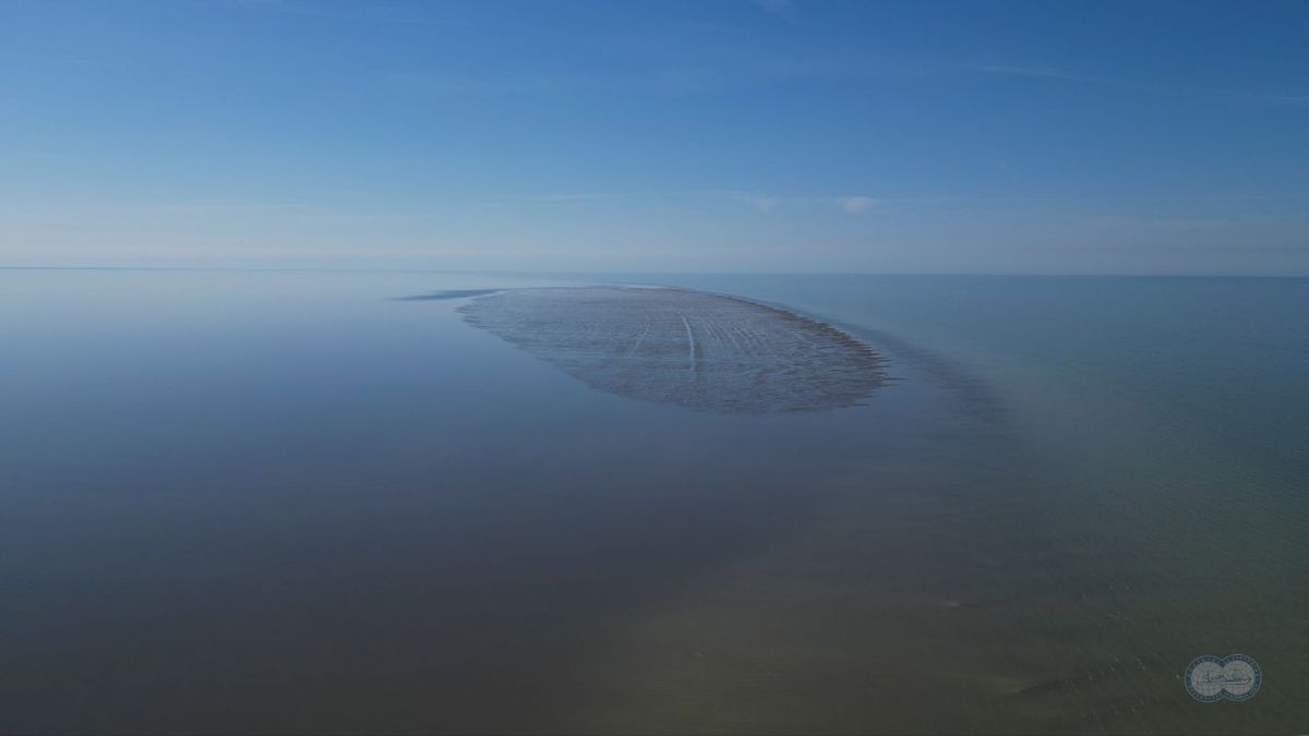 Russian scientists discover a new island in the Caspian Sea — the world’s largest inland body of water