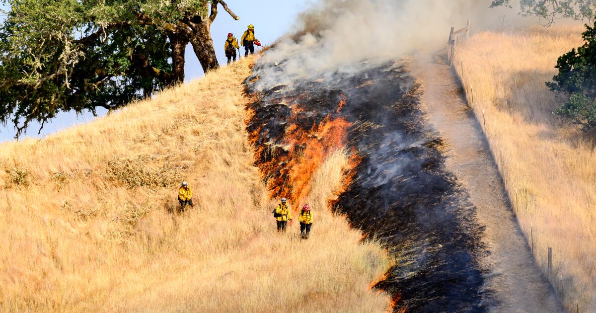 We set a big chunk of California wilderness on fire. You’re welcome