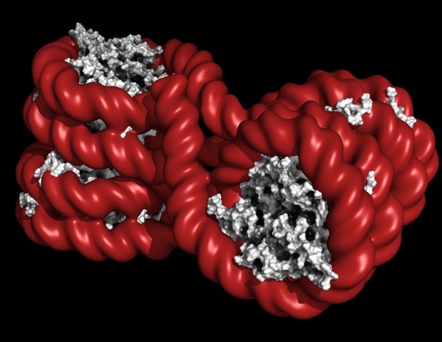 Wayne State researchers investigate PFAS impact on male fertility