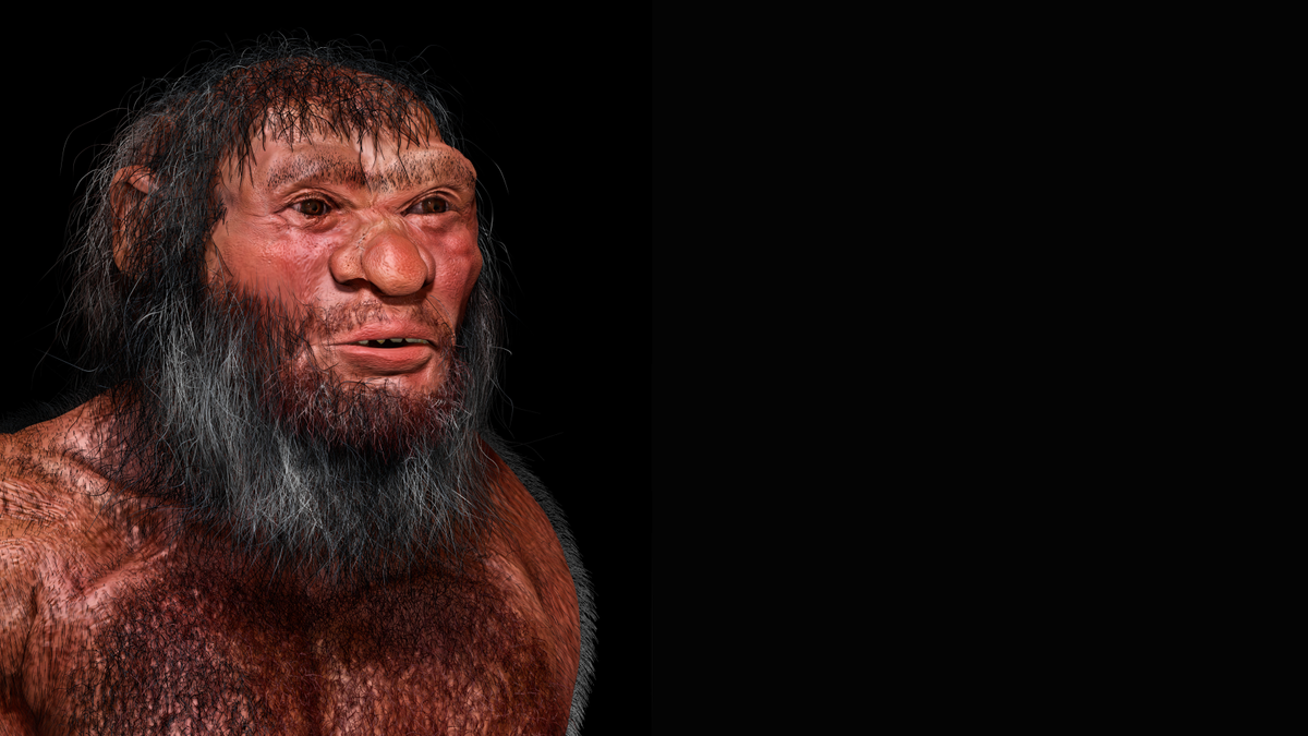 Ancient ‘Dragon Man’ skull from China isn’t what we thought