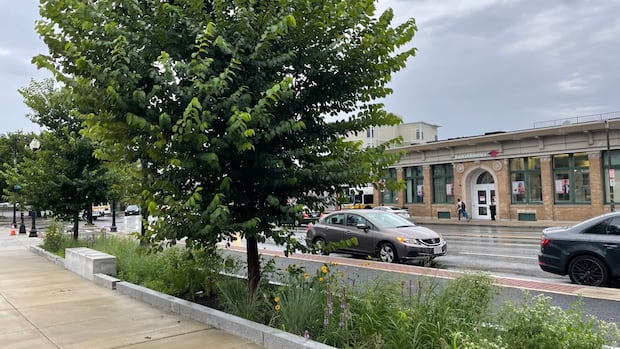 Boston ditches roadside grass