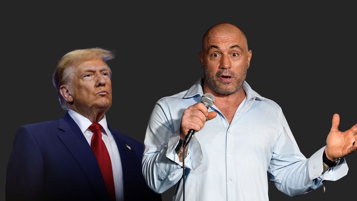 Rumor Joe Rogan Added 3M Podcast Subscribers After Announcing Trump Interview Is False