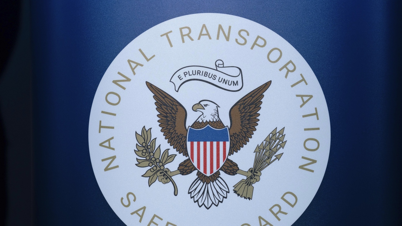 Pilot who died in N.C. plane crash tried to avoid a turtle on airport runway