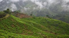 Dozens of soldiers seized in Colombian mountains
