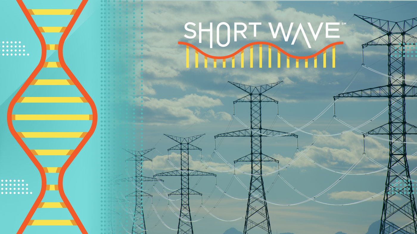 What’s plaguing America’s power grid?