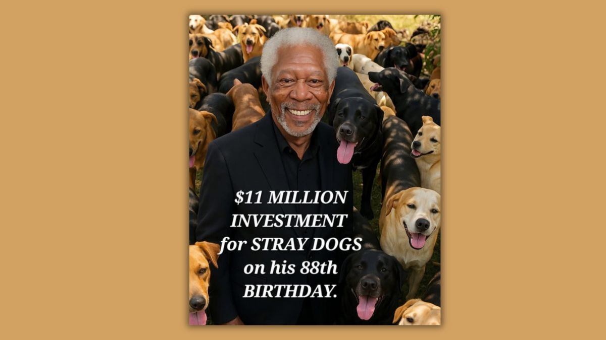 Did Morgan Freeman pledge $11M to build dog sanctuary on his 88th birthday?