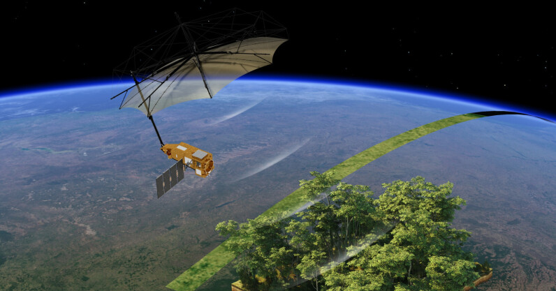 ‘space-umbrella’-returns-first-striking-images-of-earth’s-forests