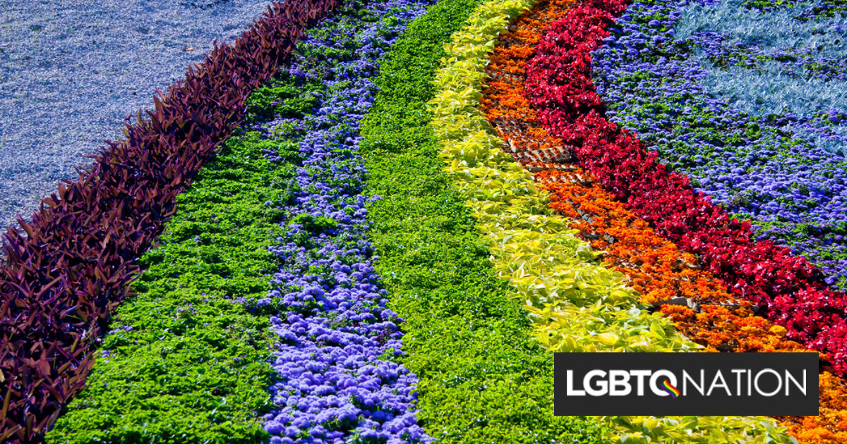 Police hunt “malicious” vandal who destroyed city’s rainbow Pride flowerbed display