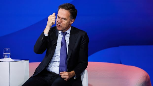 NATO chief praises Trump’s ‘truly extraordinary’ actions against Iran in text messages