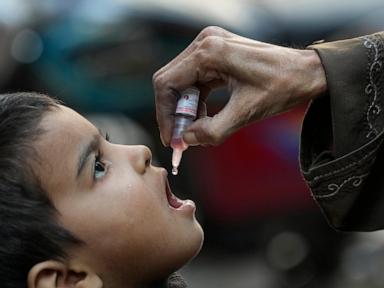 Global vaccination efforts stall, leaving millions vulnerable to preventable diseases