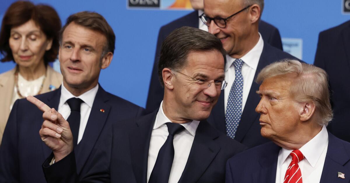 Trump offers relief to NATO allies: ‘We’re with them all the way’