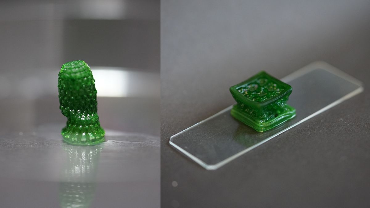Scientists invent photosynthetic ‘living’ material that sucks CO2 out of the atmosphere