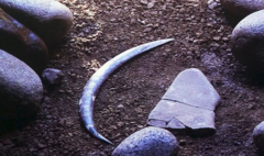 World’s oldest boomerang doesn’t actually come back