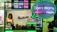 Thailand’s ‘weed wild west’ faces new rules as smuggling to UK rises