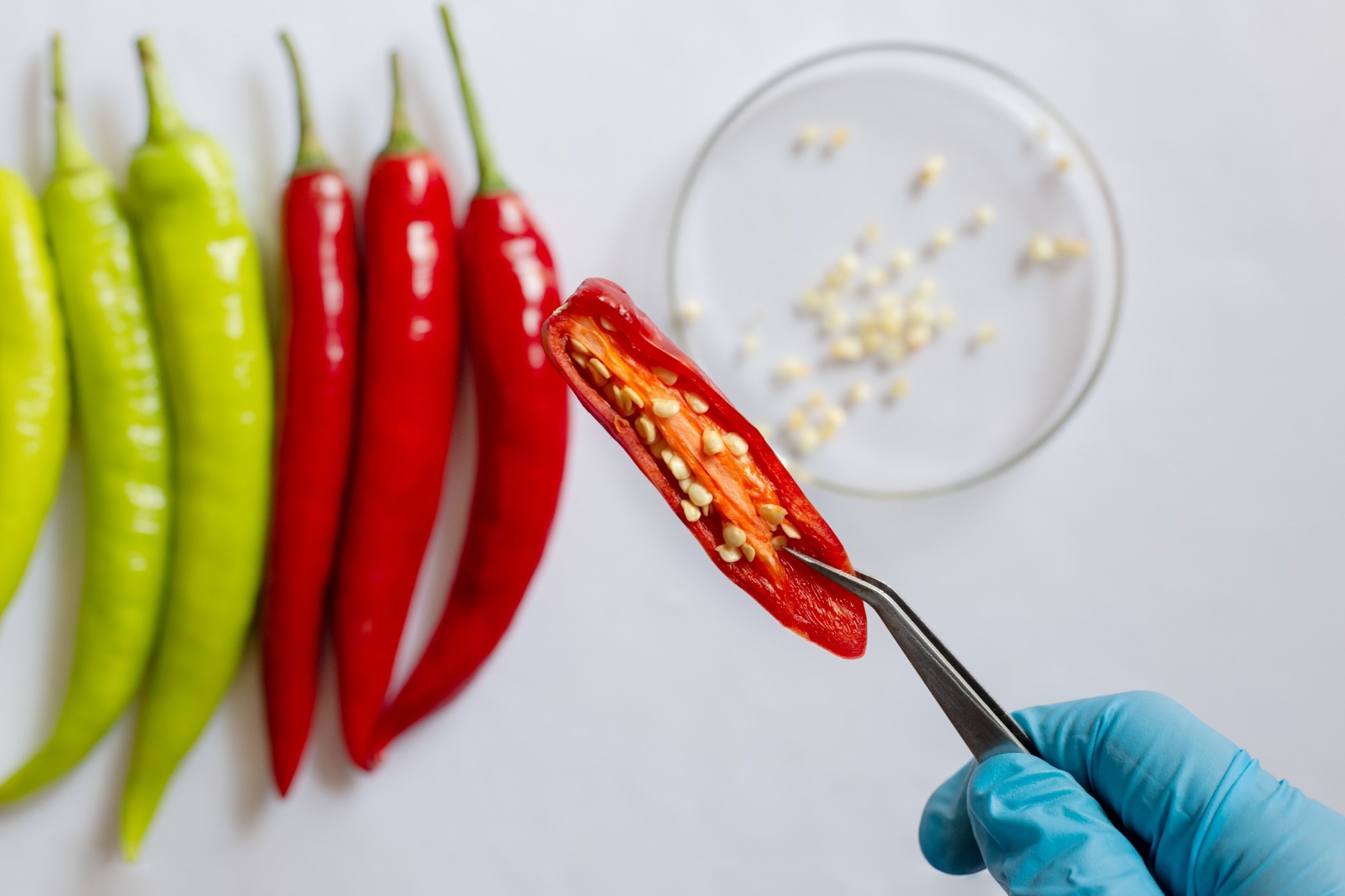 Do spicy foods help or hurt your gut health?