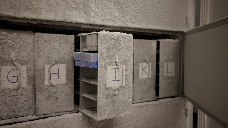 ‘It is our obligation to future generations’: Scientists want thousands of human poop samples for microbe ‘doomsday vault’