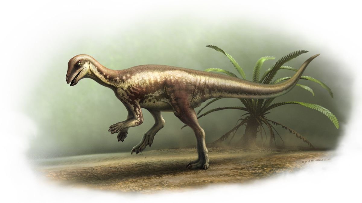 Mysterious ‘runner’ dinosaur a sign there are more Jurassic secrets to unlock beneath western US