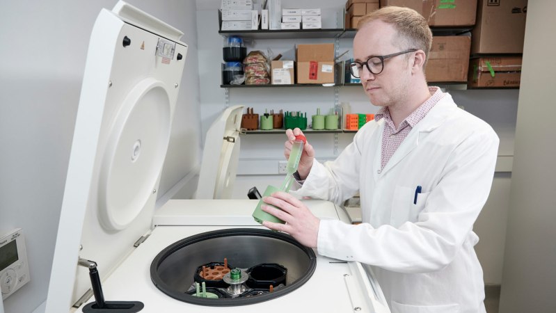 Modified bacteria convert plastic waste into pain reliever