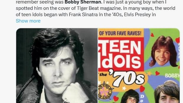 From Bobby Sherman to Bieber, the mixed fortunes of teen idols