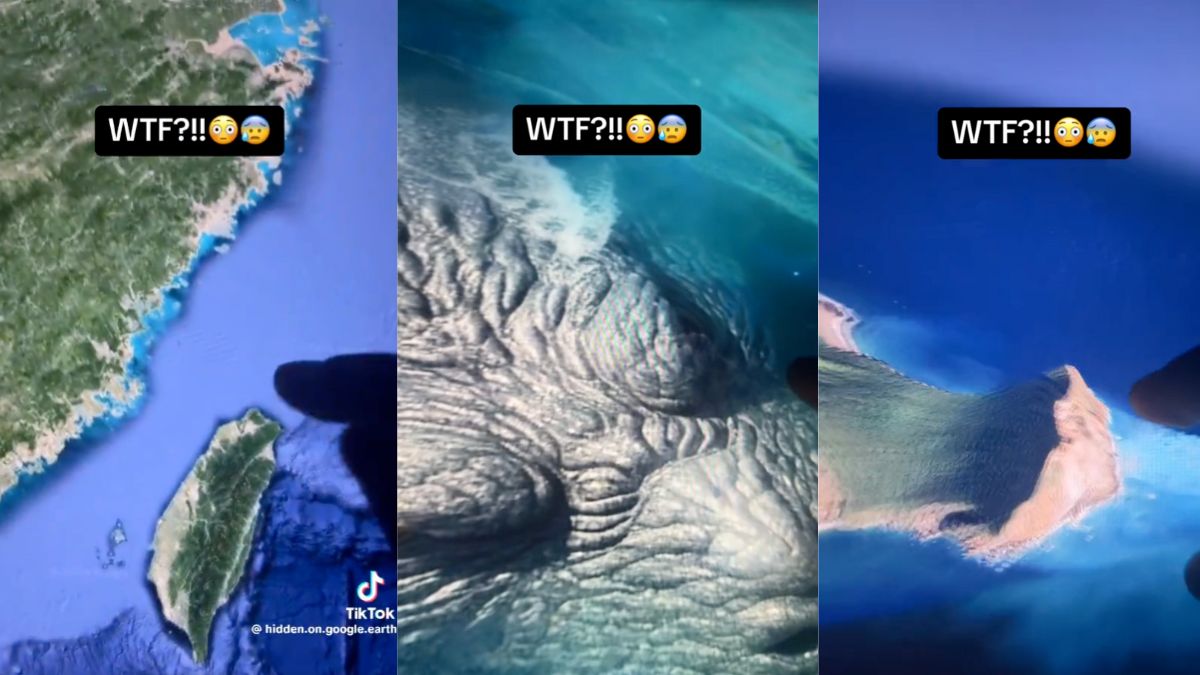 Video of Google Earth ‘Sea Monster’ Is Obvious Hoax