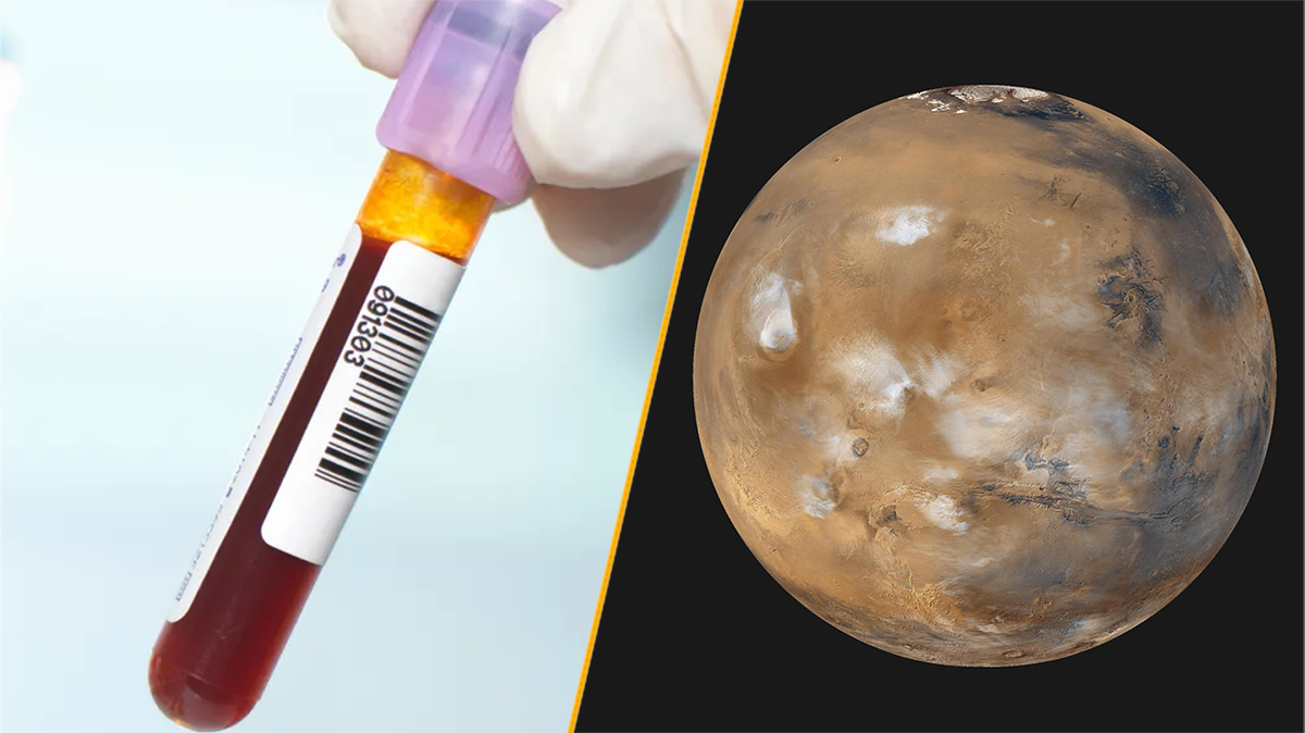 Science news this week: A unique new blood type and ‘spiderwebs’ on Mars