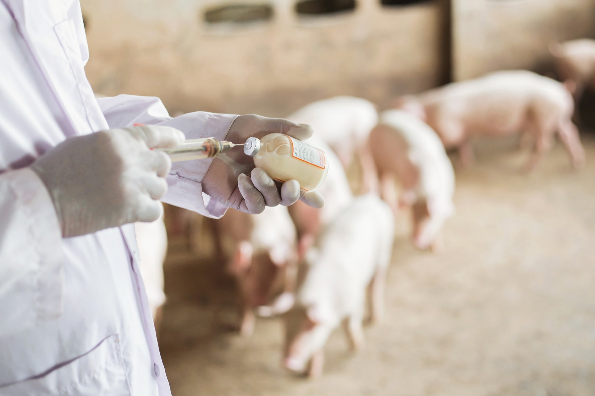 Ionophore use in farming drives global spread of antibiotic resistance genes, study finds