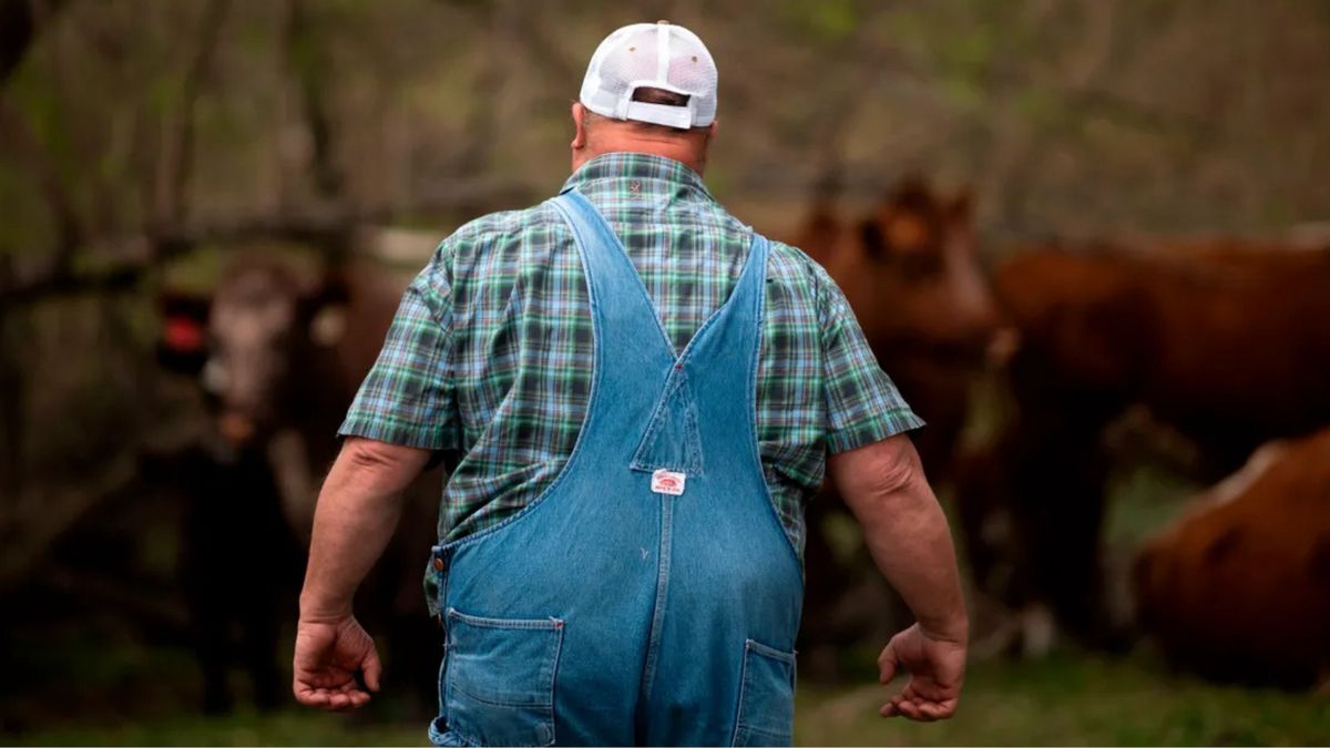 Nebraska farmer building monument to Trump out of manure?