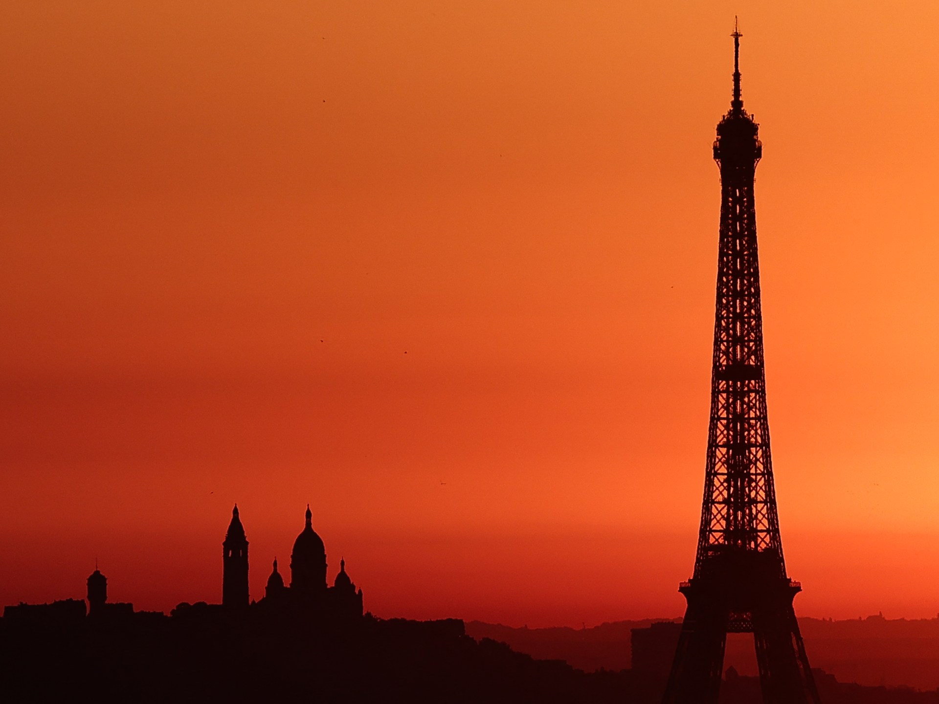 Health alerts, risk of field fires as heatwave sweeps across Europe