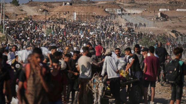 People in Gaza ‘starve or risk being shot’: NGOs urge end to aid work backed by U.S., Israel as deaths rise