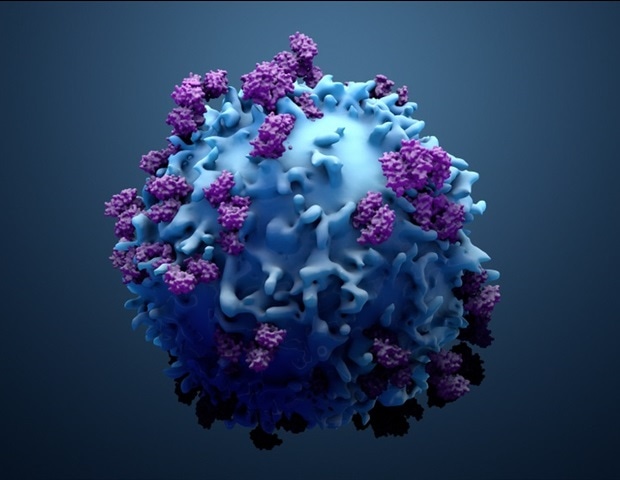 Drug combination shows promise for treating aggressive T-cell lymphomas