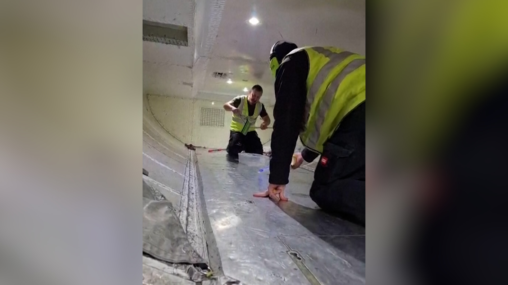 Snake on a plane delays flight in Australia by two hours