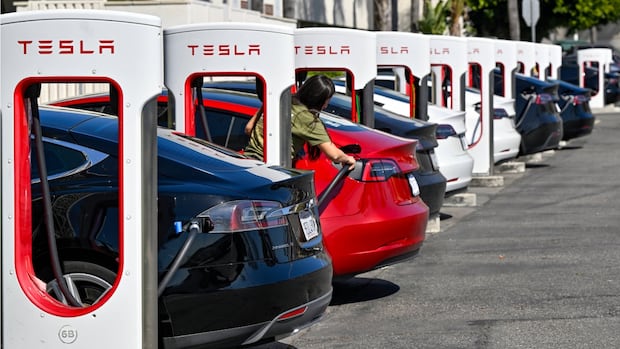Tesla sales slump as electric carmaker faces 2nd year of falling sales