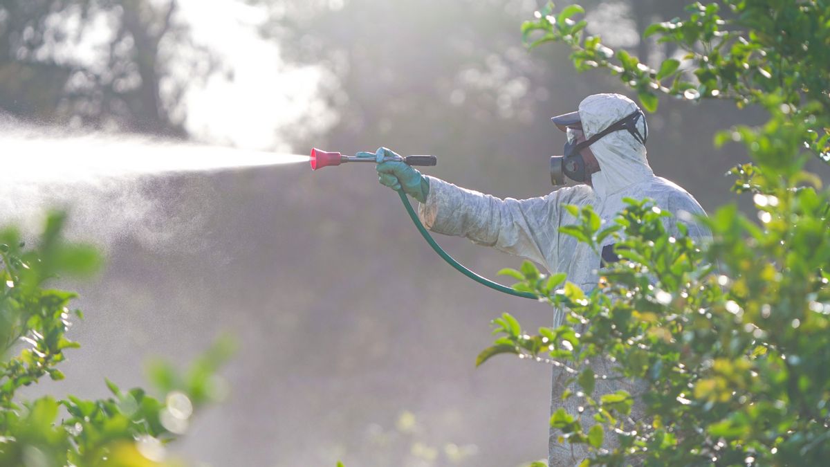 Connecticut plans to spray toxic chemical herbicide into lakes and rivers. Here’s context