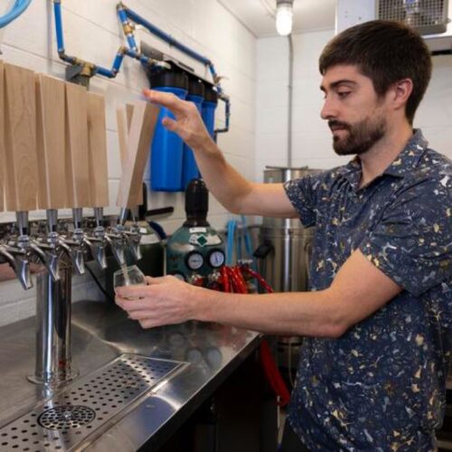 Rice could be key to brewing better non-alcoholic beer