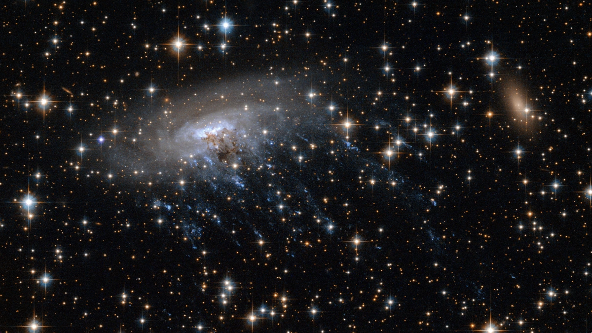 James Webb telescope discovers tentacled ‘jellyfish’ galaxy swimming through deep space