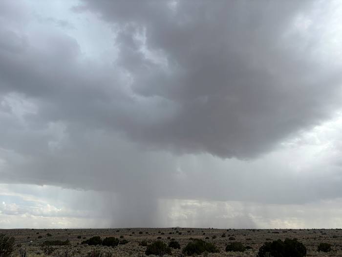 Monsoon season brings the promise of rain for the arid southwestern US
