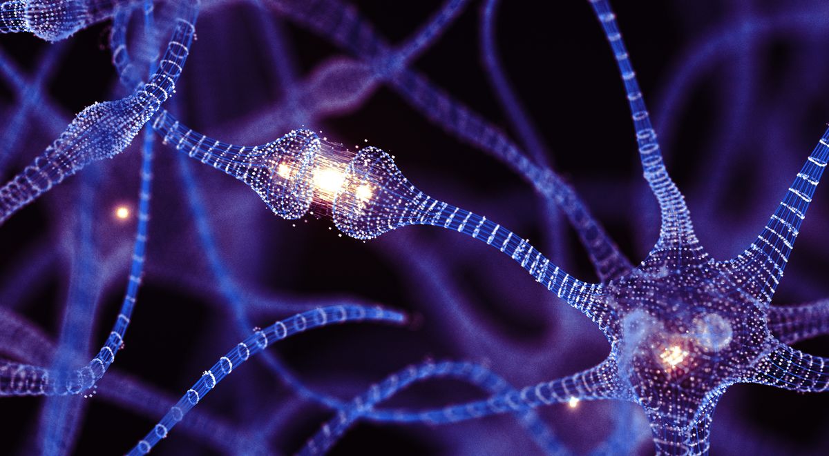 Can adults make new brain cells? New study may finally settle one of neuroscience’s greatest debates
