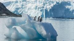 American teen pilot detained on small island in Antarctica
