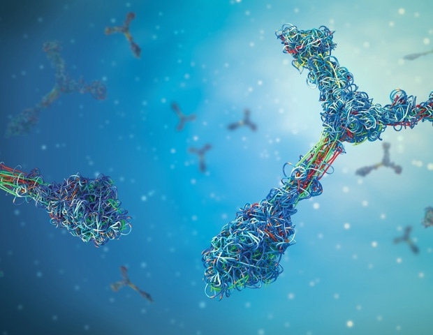 Mapping the T cell response to Chikungunya virus