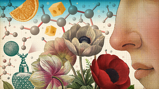 How Smell Guides Our Inner World