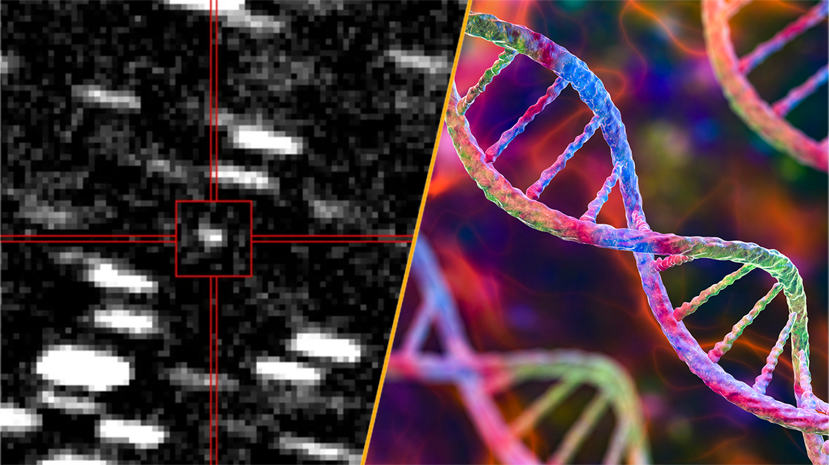 Science news this week: An ‘interstellar visitor’ and the oldest ancient Egyptian genome ever sequenced