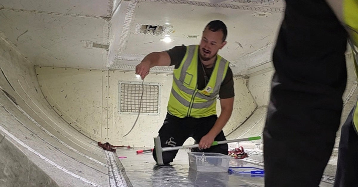 Snake Sneaks Onto Plane And Delays A Flight In Australia