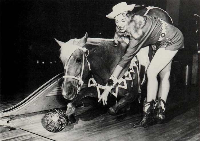 Melody Lady the Bowling Horse